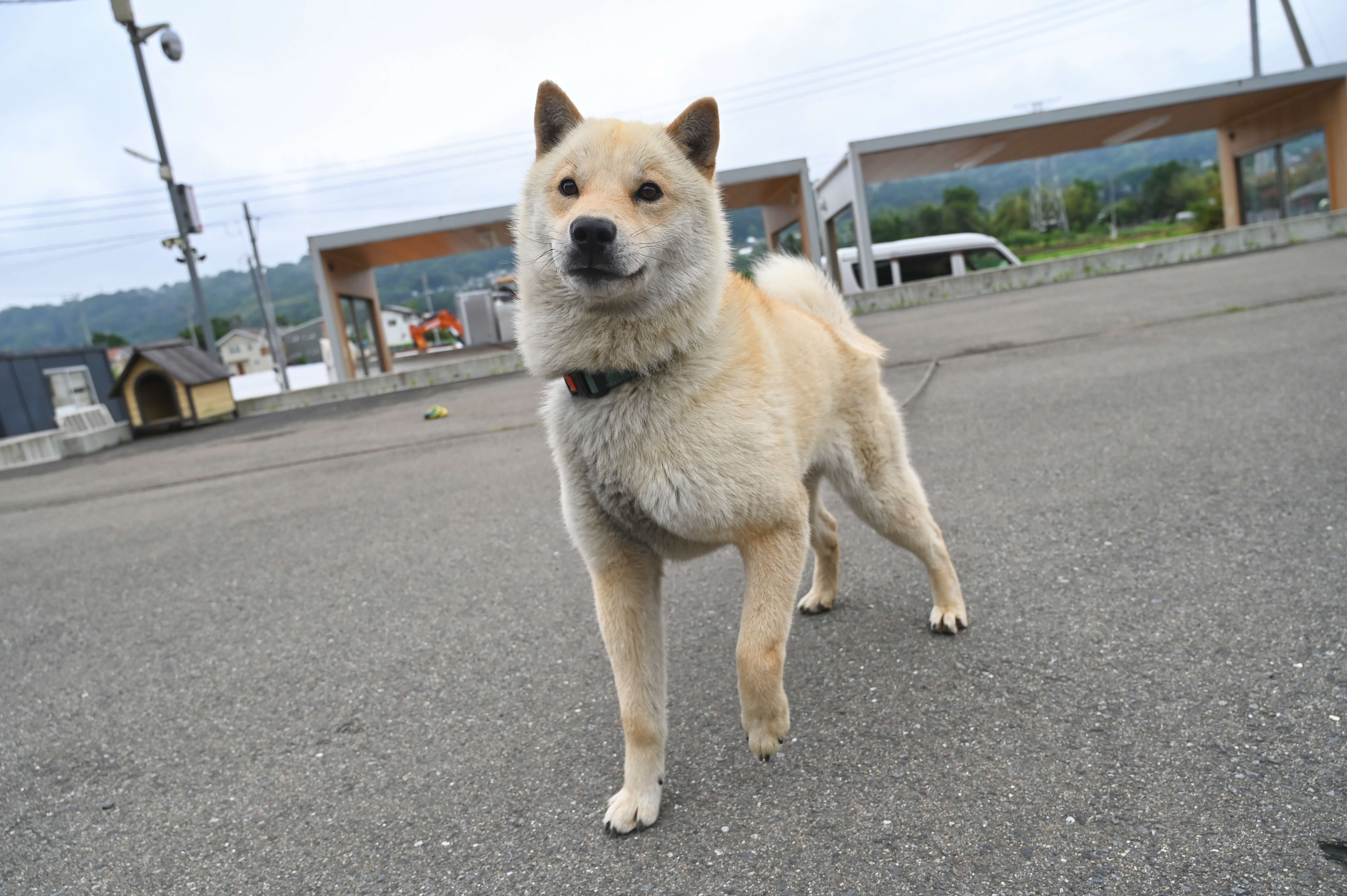 代表メッセージ サブ